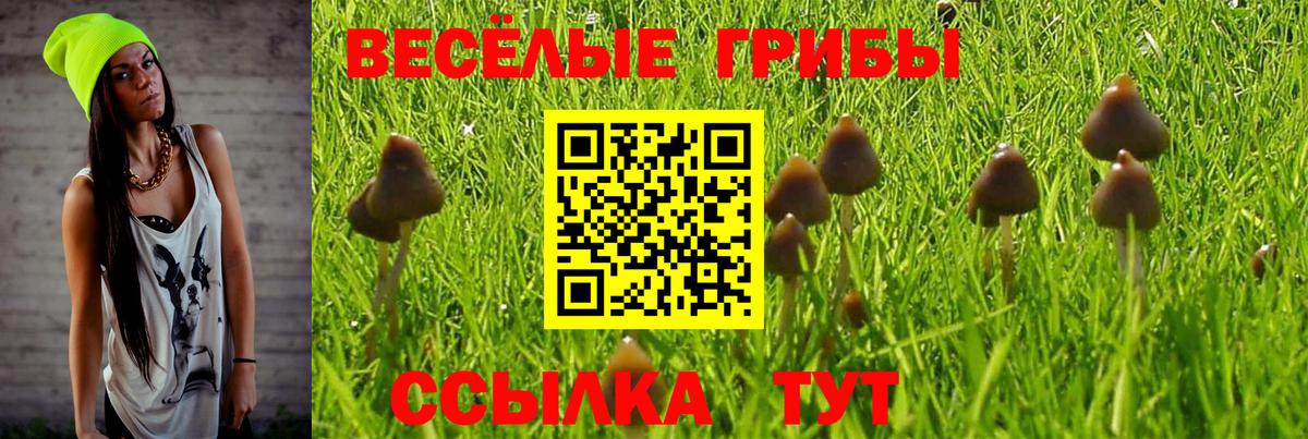 Псилоцибиновые грибы Magic Shrooms  Вход с VPN  Астрахань 